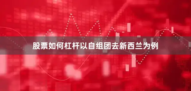 股票如何杠杆以自组团去新西兰为例