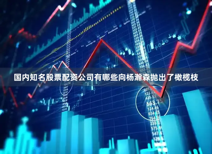 国内知名股票配资公司有哪些向杨瀚森抛出了橄榄枝