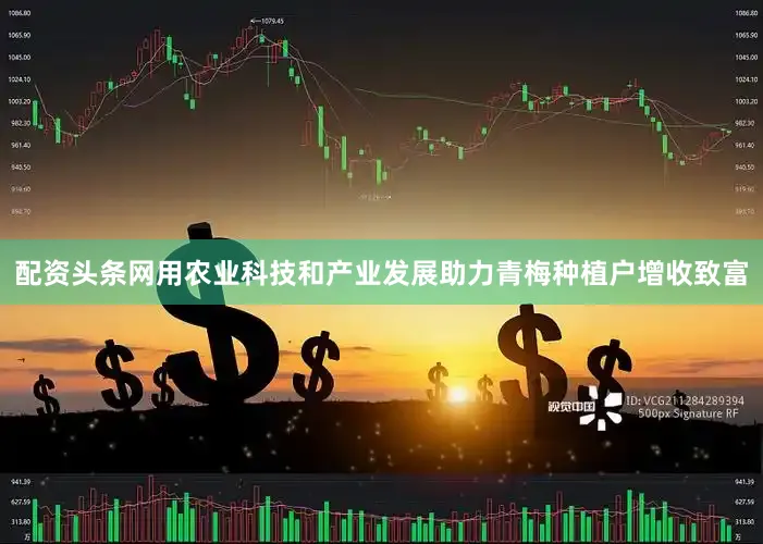 配资头条网用农业科技和产业发展助力青梅种植户增收致富